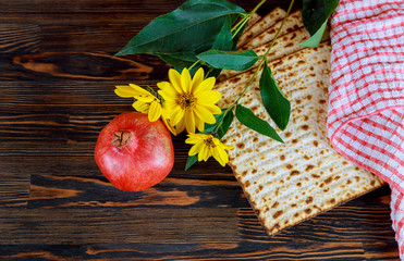 Pesach Passover symbols of great Jewish holiday. Traditional matzoh, matzah or matzo