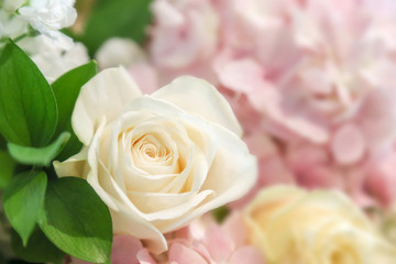 Obraz premium The white rose flower with pink flowers background