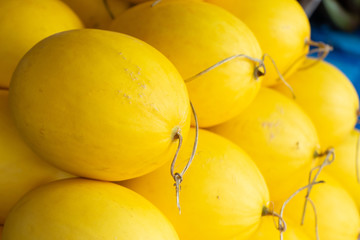 fresh spaghetti squash in fruit shop