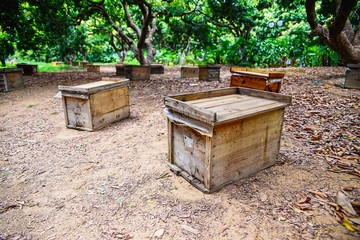 Beehive bee house
