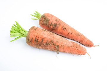 Fresh muddy carrots on white background