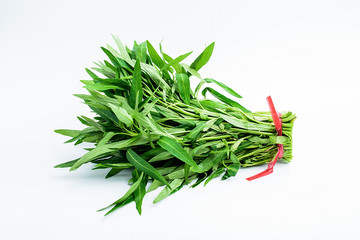 a green spinach on a white background