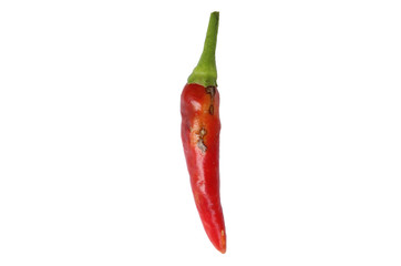 Chillies in a variety of colors arranged in rows on a white background. 