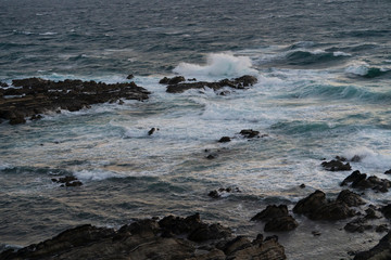 冬の三浦半島荒崎海岸