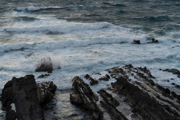 冬の三浦半島荒崎海岸