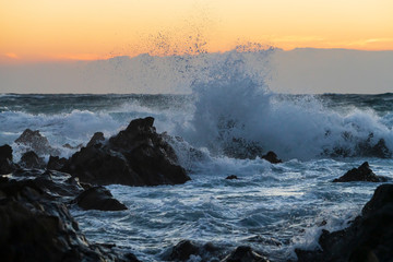 冬の三浦半島荒崎海岸