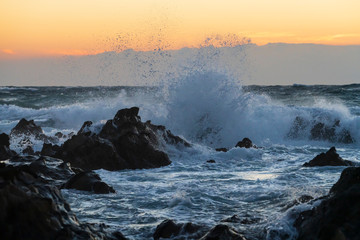 冬の三浦半島荒崎海岸