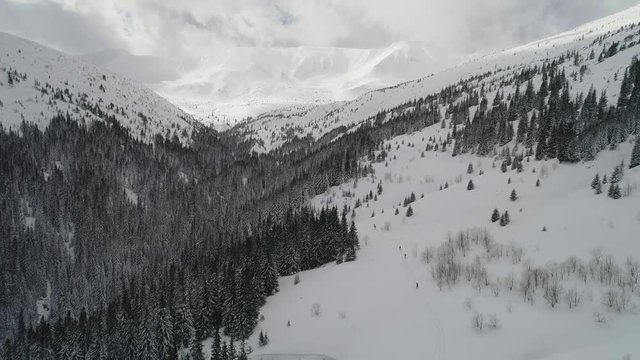 Aerial shot: Beautiful view of Transcarpathian mountains at winter. Dzembronya
