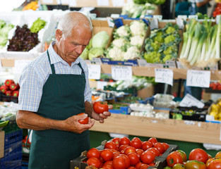 Seller putting products on shelves in greengrocery