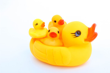 Baby duck on back of mother duck on isolated on white background. Yellow plastic duck. Toy in baby bathroom.
