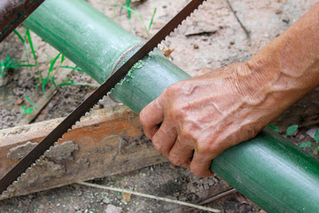 Asian Elderly Man using a saw to cut bamboo trunk for making chair.