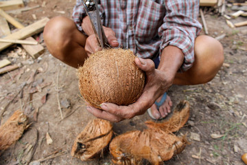Man using hand and hemer to peel dry coconut shell.