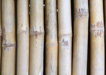 Close-up vertical bamboo background.