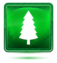Evergreen conifer pine tree icon neon light green square button