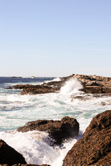 point lobos