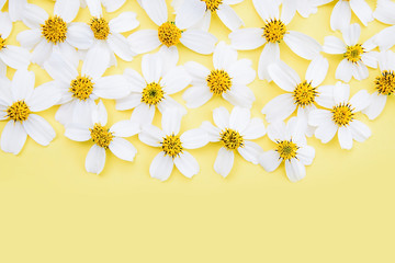 Spring beautiful white flowers poster background material / white flower