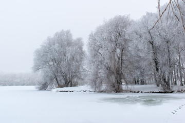Winter landscape. Trees are covered with frost.