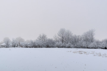 Winter landscape. Trees are covered with frost.