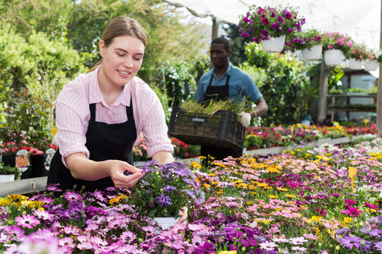 Florist girl working in greenhouse