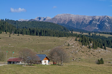 Auf der Hochebene der Vezzena