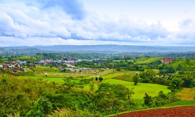 Obraz premium rural landscape with green field and trees