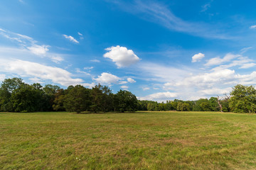 Green field and blue sky