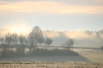 Naklejka premium Landschaft im Herbst, Herbstmotiv