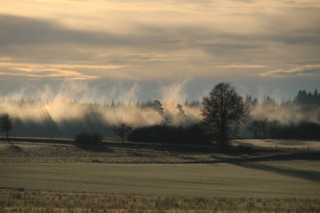 Landschaft im Herbst, Herbstmotiv