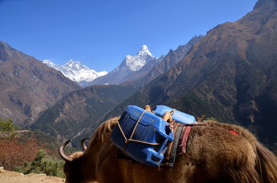 Nepal, Gokyo Trail