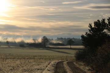 Herbst