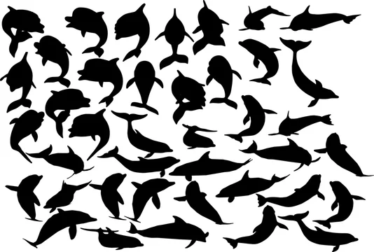 イルカのシルエット Stock Vector Adobe Stock イルカのシルエット Stock Vector Adobe Stock