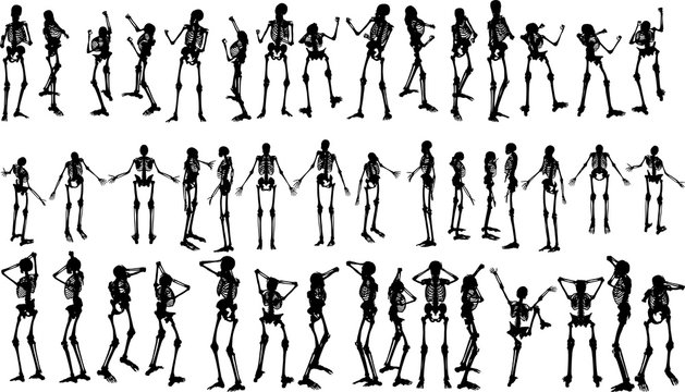 2 646 Best 骸骨 Images Stock Photos Vectors Adobe Stock