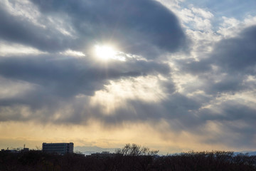 神奈川県　生田緑地　枡形山の夕暮れ