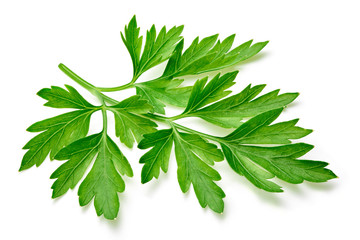 Parsley isolated on white