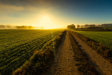 The morning field. Fog above the ground. Beautiful landscape.
