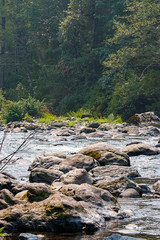 path of boulders lead across shallow river in summer