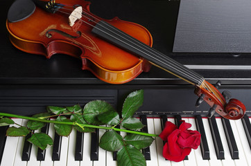 Violin, red rose and keyboard