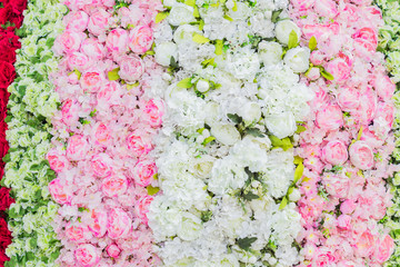 artificial blooming peonies and roses of white, red and pink color background