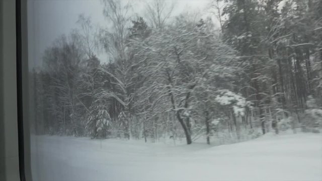 Winter view from train window. Belarus. Slow motion. Minsk - Gomel train