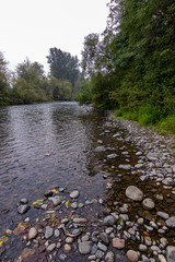 light bright pebbles and stones on edge of forest and river