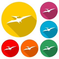Pterodactyl icon or logo, Pteranodon bird, color set  with long shadow © sljubisa