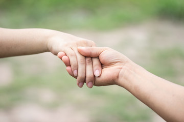 Couples holding hands on Valentine's Day On blurred natural outdoor background