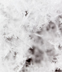 White snowflakes on nature as a background