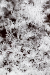 White snowflakes on nature as a background