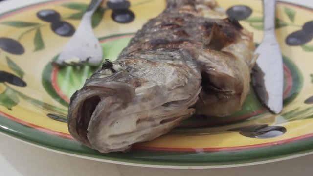 Grilled dorade on a plate