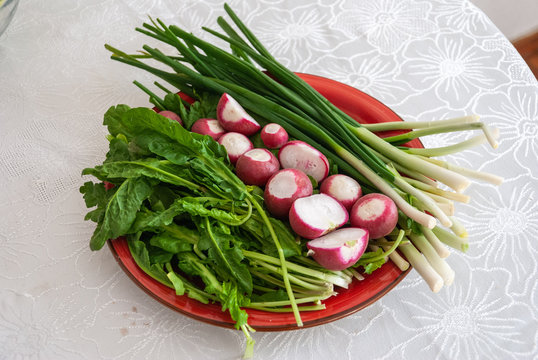 Azerbaijani style radish, scallion and arugula plate