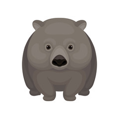 Obraz premium Detailed flat vector icon of cute gray wombat. Small Australian marsupial bear with short legs. Wildlife theme