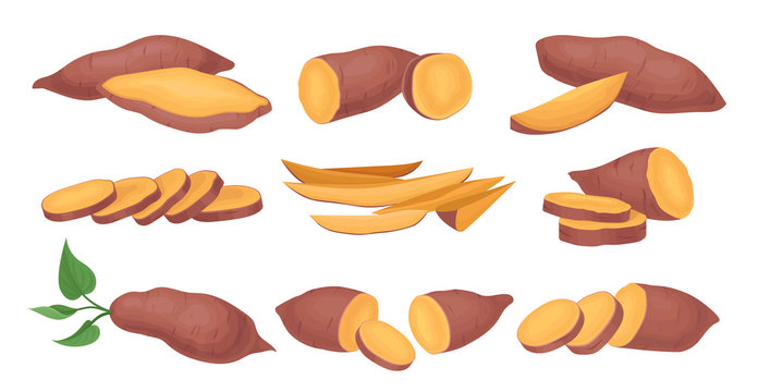 Sweet Potato Cartoon Stock Photos And Royalty Free Images Vectors And Illustrations Adobe Stock Opponent is paralyzed by cuteness of. sweet potato cartoon stock photos and