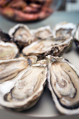 oysters on a large plate