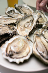 oysters on a large plate